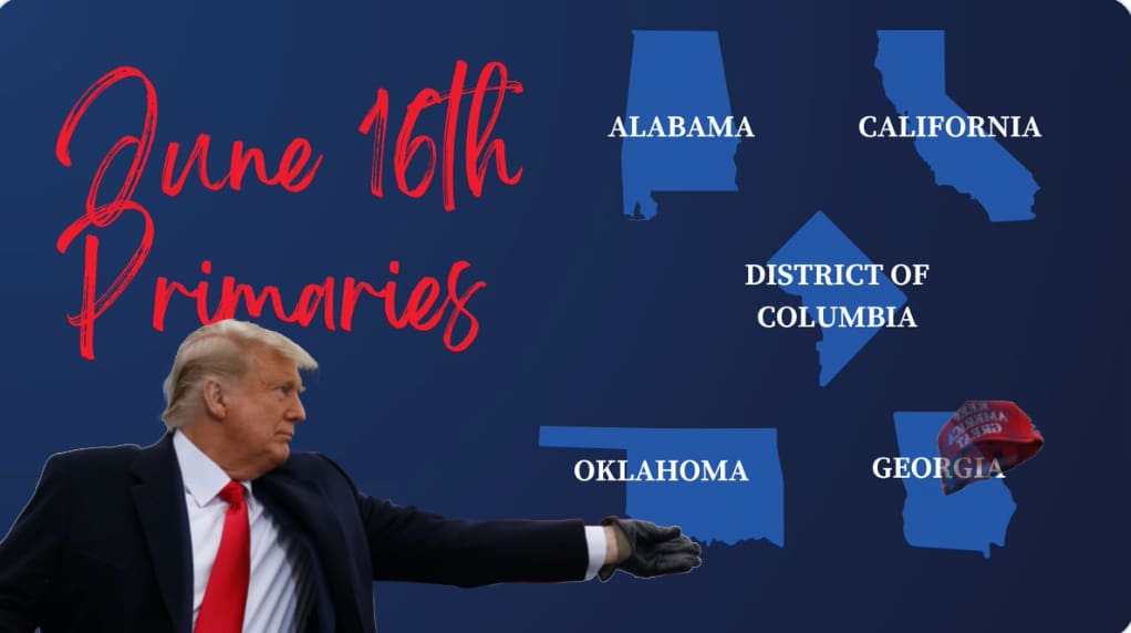 Georgia Runoff Elections Scheduled for Tuesday