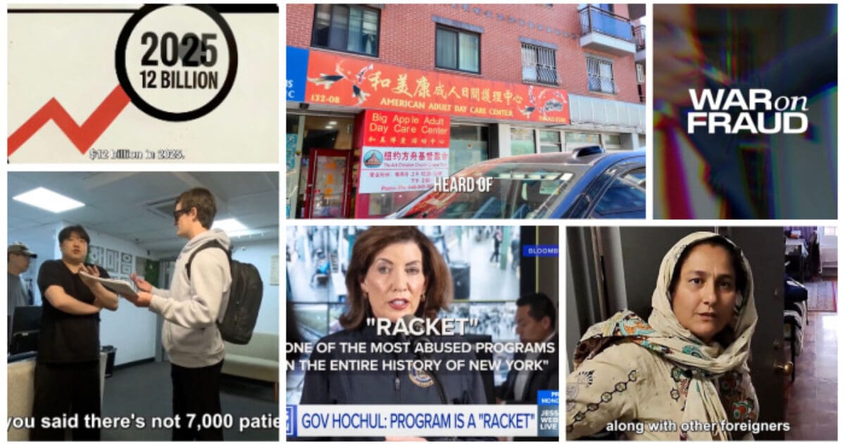 One of the Biggest Fraud Rings You Never Heard of: Social Adult Daycares – BILLIONS IN NYC ALONE